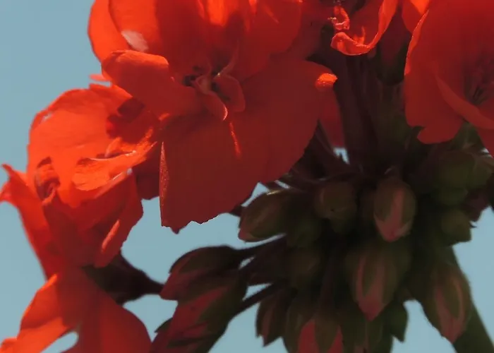 La Tavolozza Pensionat 4*