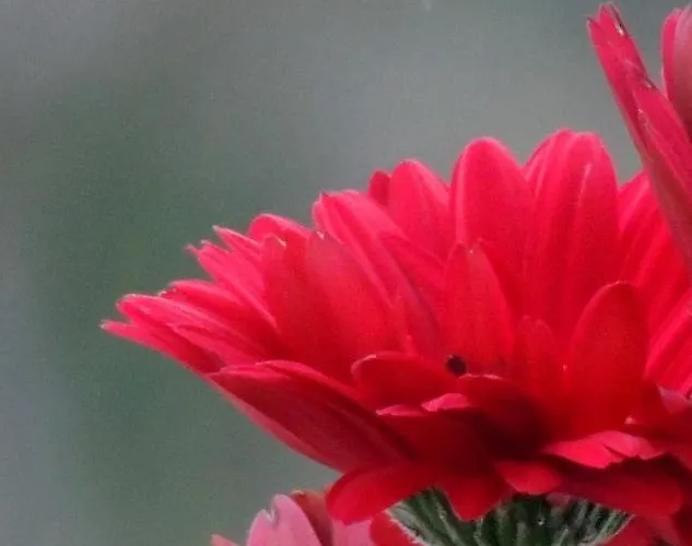 La Tavolozza Pensionat 4*