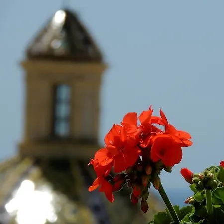 La Tavolozza Affittacamere Positano