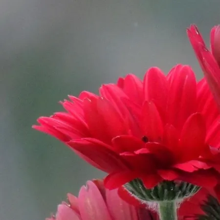 La Tavolozza Affittacamere 4*